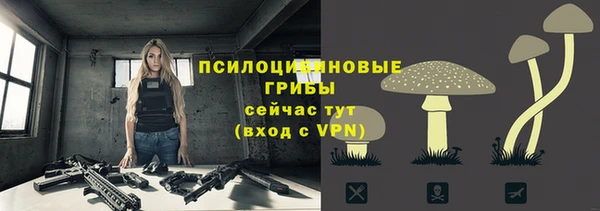 a pvp Дмитриев