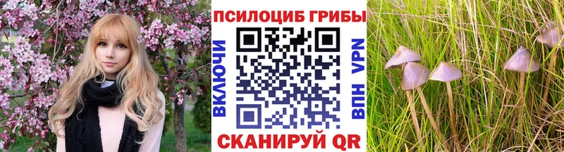 Галлюциногенные грибы MAGIC MUSHROOMS  закладка  Козловка 